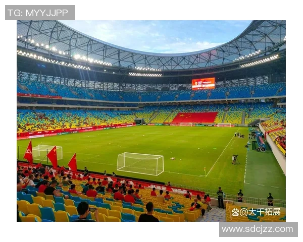 立体足球明星形象展示与解析让你领略球场上的璀璨风采